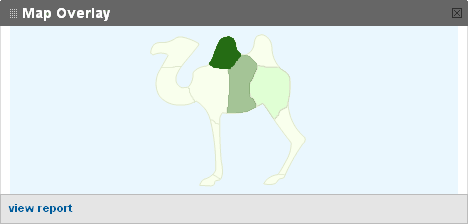 Карта в отчете map overlay аналитикса приобрела вид верблюда