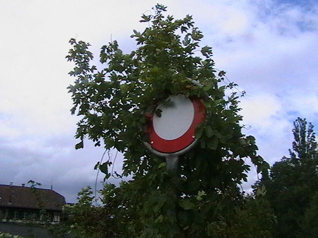 Дорожний знак. Базель, Швейцарія