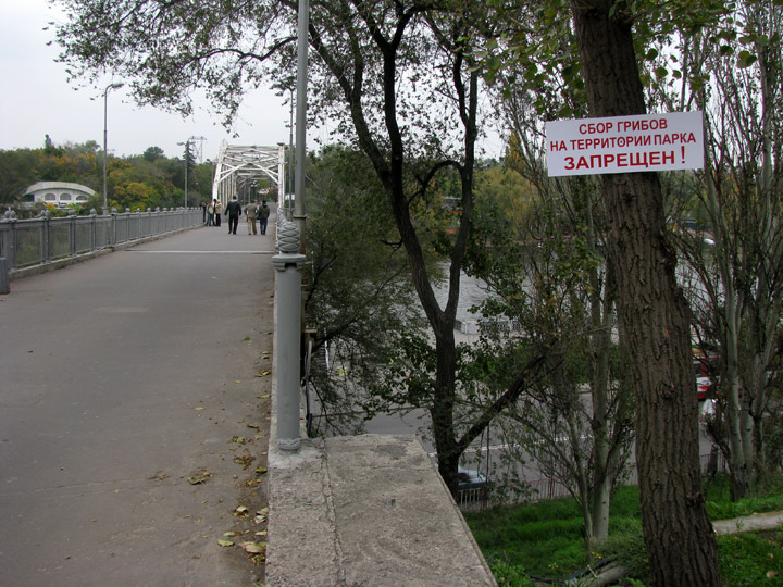 Збирати гриби на території парку Шевченка заборонено. Міст на Монастырський острів, Дніпро.