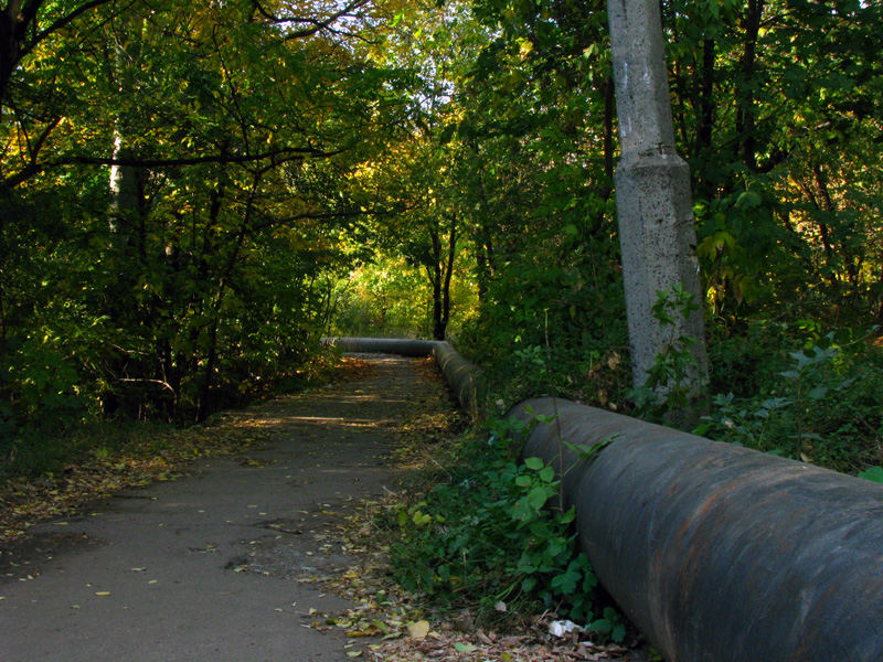 Доріжка з трубою навколо другого міського ставку в парку Щербакова. Донецьк, Україна
