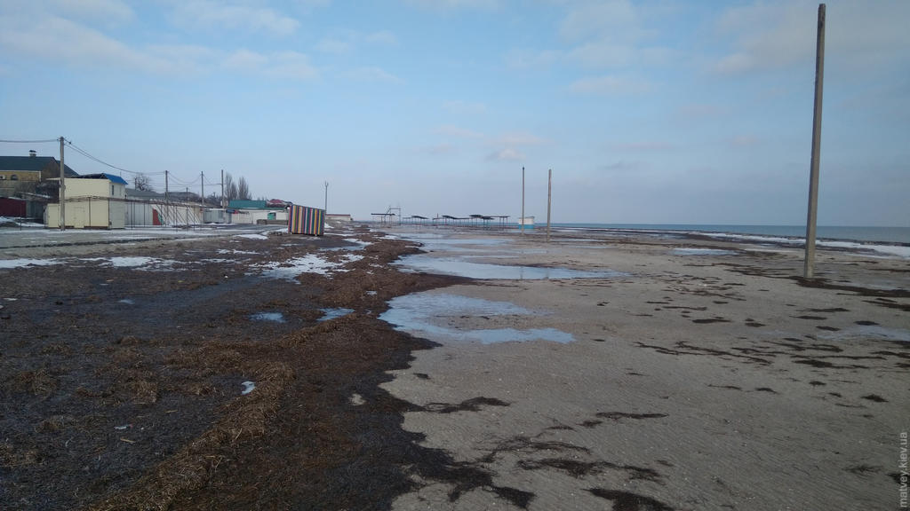 Міський пляж «Дитячий» зимой. Водорості, які хвилі перекинули через захисний парапет. Генічеськ, Україна
