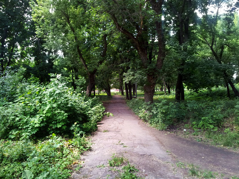 Доріжка між деревами в містечку Воєнвєд. Харків, Україна