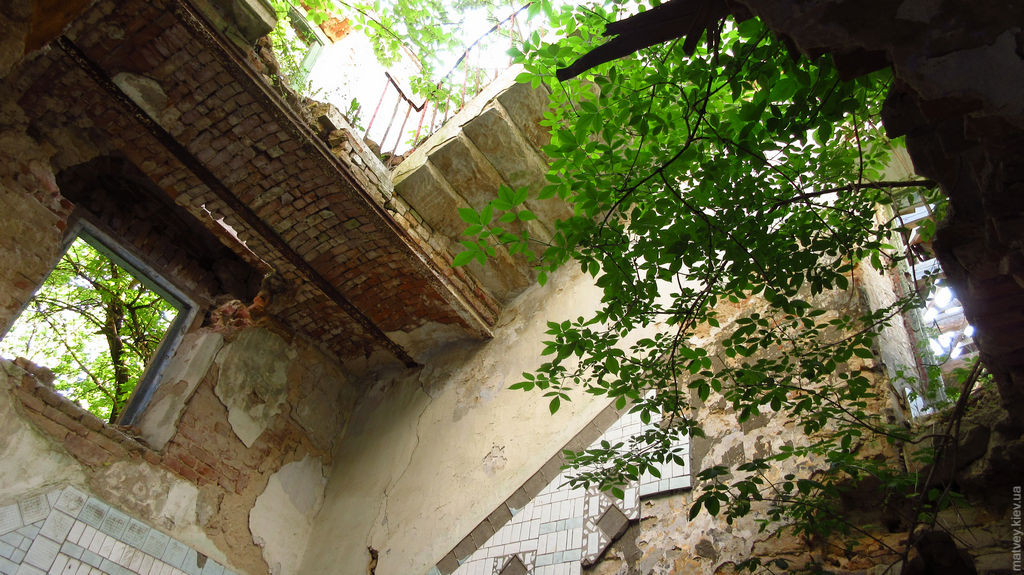 Залишки сходів, вікон, стін з молодими деревами. Клевань, Рівненська область, Україна