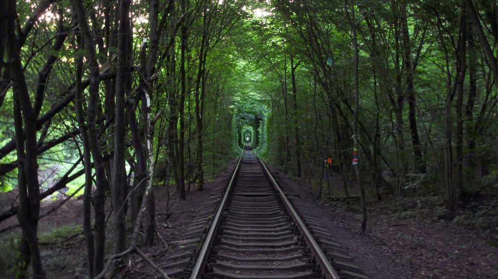 Тунель кохання. Клевань, Рівненська область, Україна