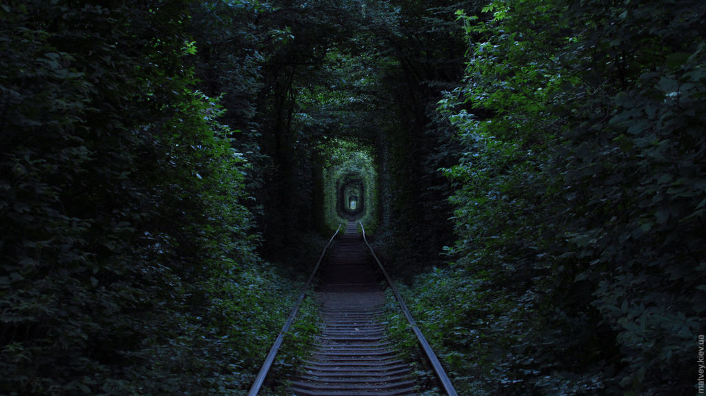 Тунель кохання. Клевань, Рівненська область, Україна