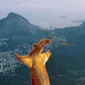 Anteater instead of the Jesus statue in Rio