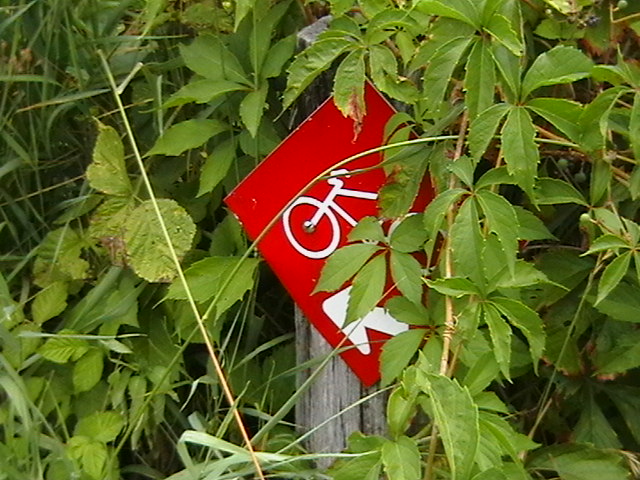 Знак для велосипедистів серед листя. Базель, Швейцарія