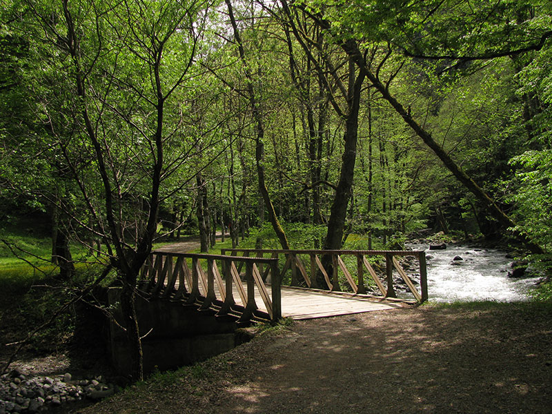 Дерев'яний міст з перилами над річкою Боржомула