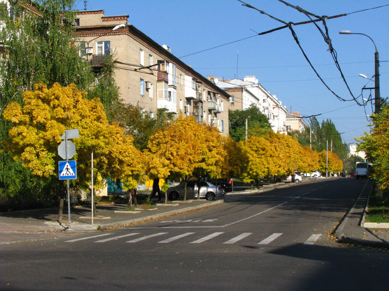 Желтые деревья на осеннем Театральном проспекте. Донецк