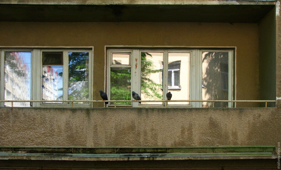 Три голубя на перилах балкона