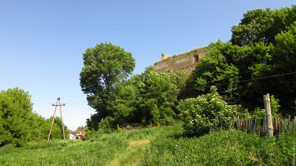 Стена крепости, вид снаружи — заросший деревьями. Клевань