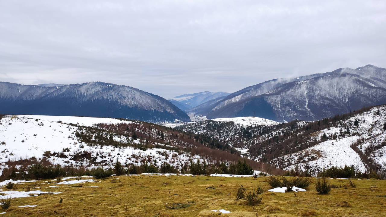 Вид на долину Тереблі біля Колочави. Колочава, Карпати, Україна