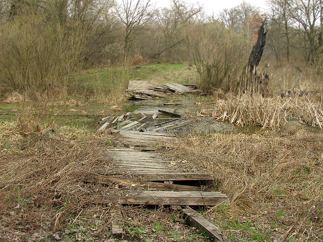 зламаний дерев'яний міст у воді затоки на Жуковому острові. весна 2008