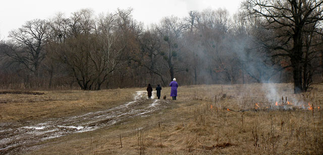 підпалювачі трави на Жуковому острові, 2008