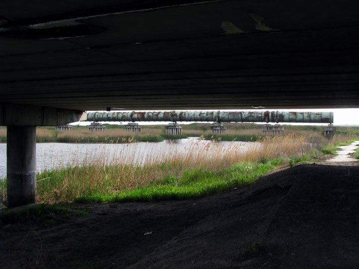Вид на трубу канала Р-9 из-под моста над Молочной речкой