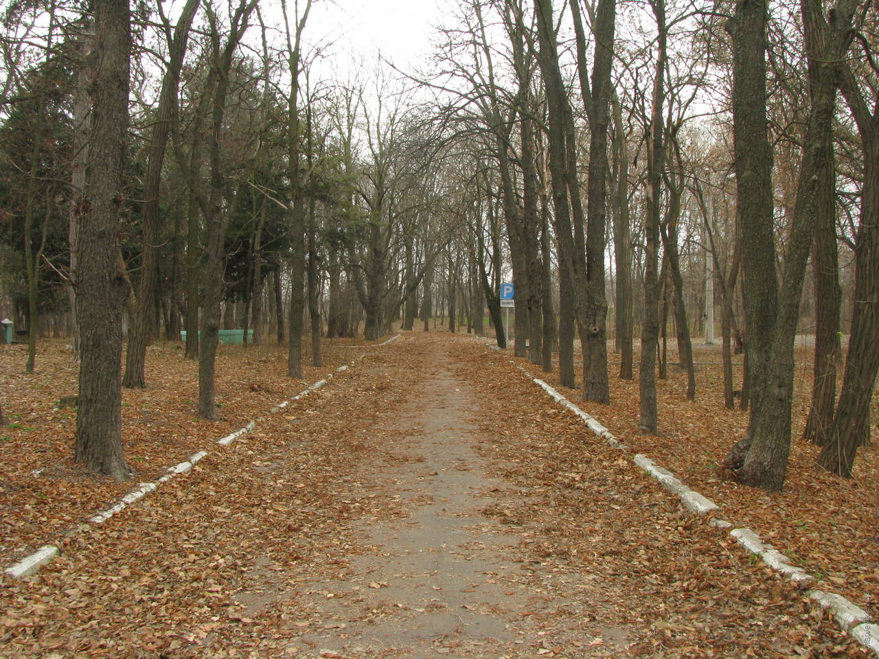 Мелітополь, парк біля дачі Фелібера, осіннє листя, доріжка