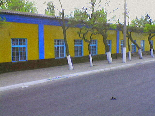 желто-голубое здание