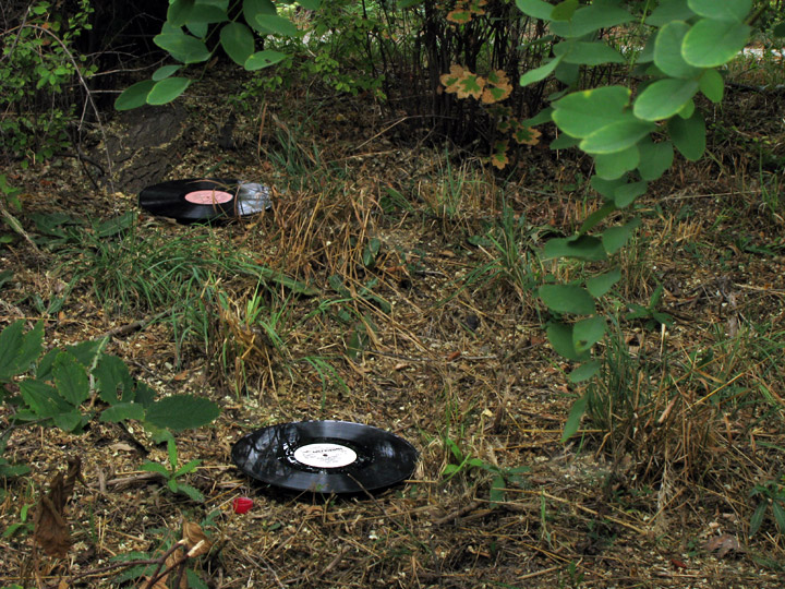 Разбросанные пластинки в Дюковском саду