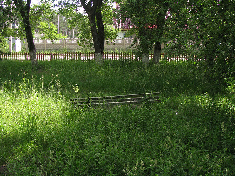 Скамейка в траве. бульвар Ленина в Пирнове