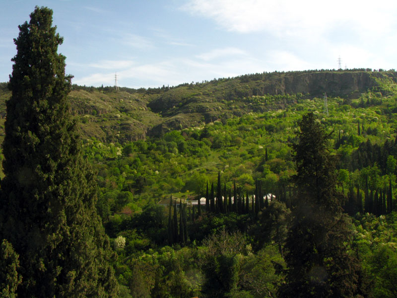 Зелёные склоны гор в Тбилиси