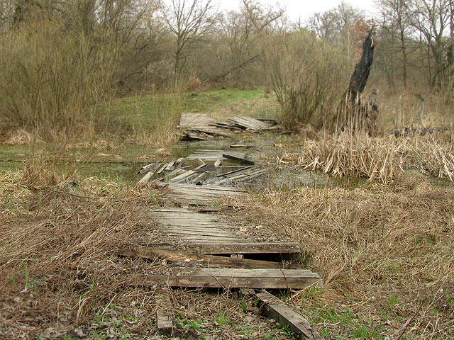 сломанный деревянный мост