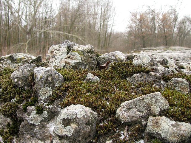 камни и мох на крыше
