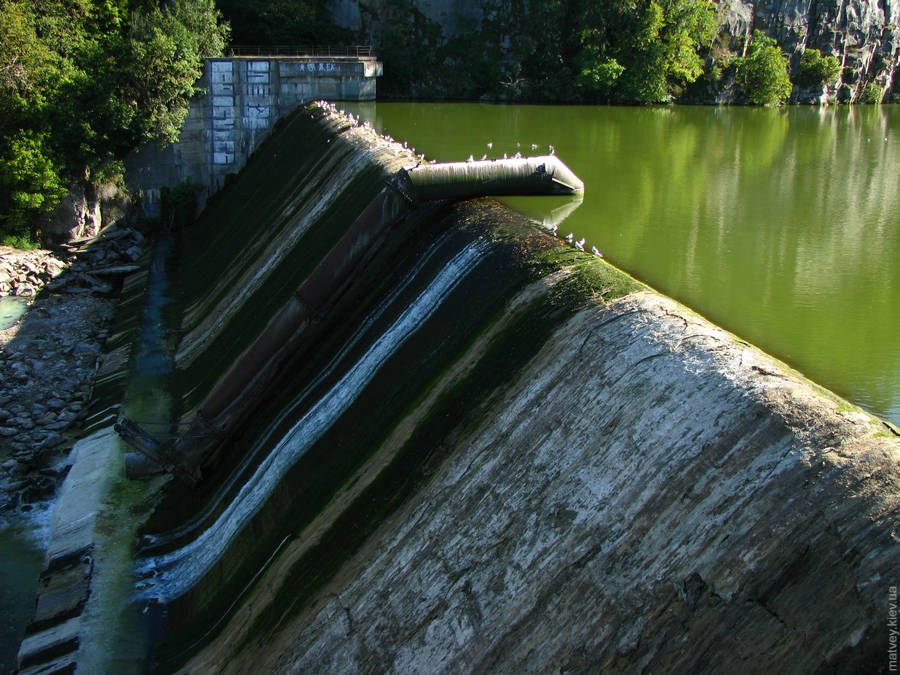 Дамба с водорослями у скал «четыре брата» на реке Тетерев, Житомир