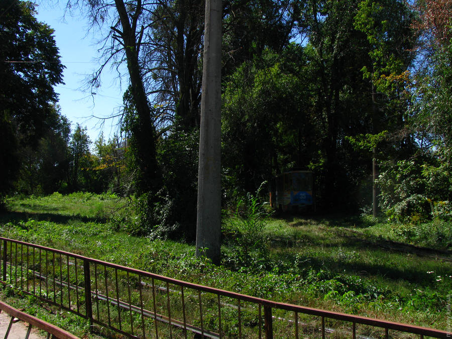Заросшая деревьями и кустами конечная остановка трамвая «Льнокомбинат». Вагон трамвая Tatra KT4SU номер 35. Житомир